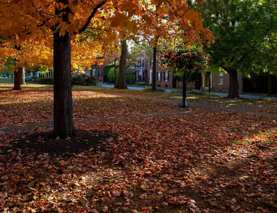 Gratz Park in fall as photographed by local artist Bob Willcutt. Gratz Park is Lexington’s oldest park and oldest historic district.