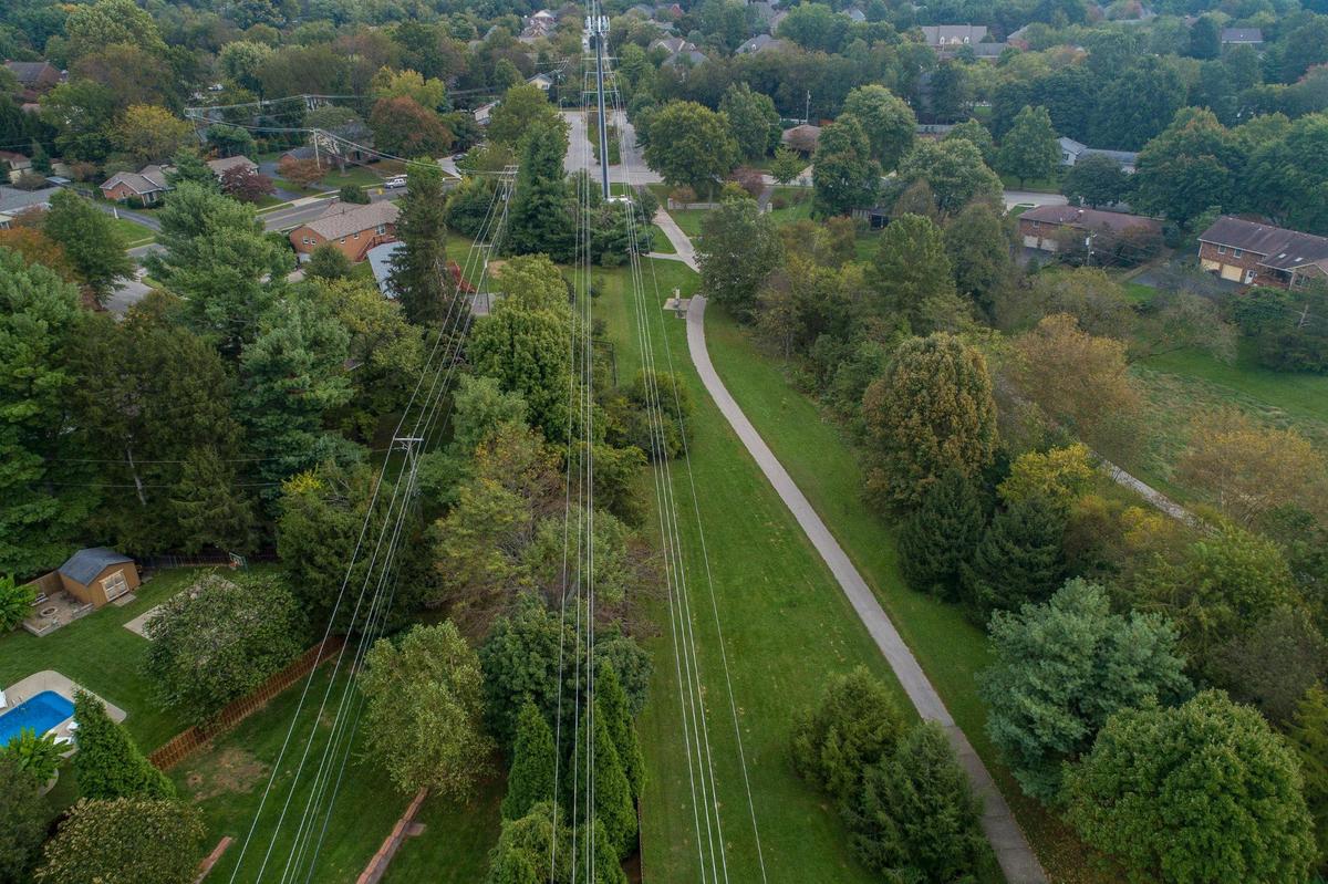 Trees near power lines are slated to be cut down in the Lansdowne Merrick Park in Lexington, Ky. Tuesday, Oct. 12, 2021.