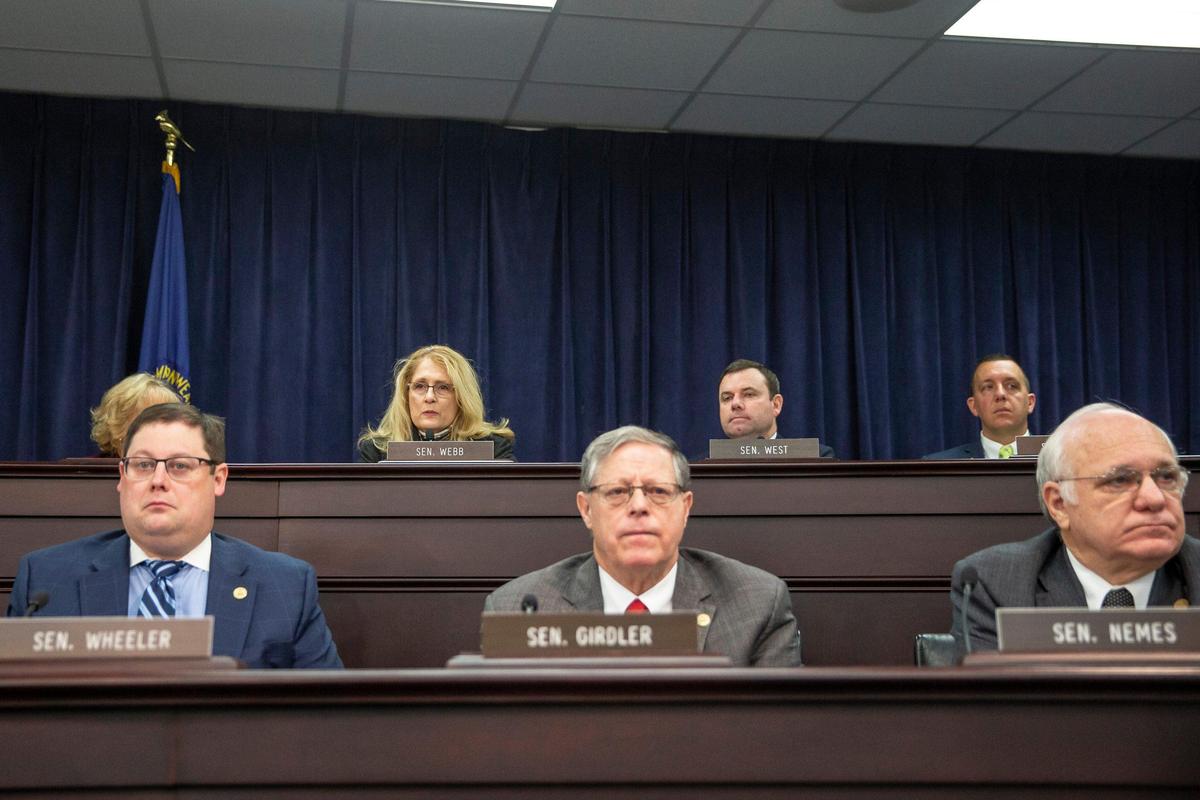 Members of the Kentucky Senate Appropriations and Revenue Committee listen as Tom Modrowski, interim CEO of Braidy Industries, speaks during a hearing at the Kentucky state Capitol Annex in Frankfort, Ky., Tuesday, Feb. 11, 2020.