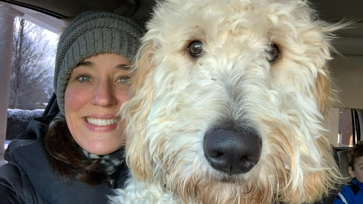 Charlie, a standard Goldendoodle, is missing after he was inside a van stolen on Industry Road.