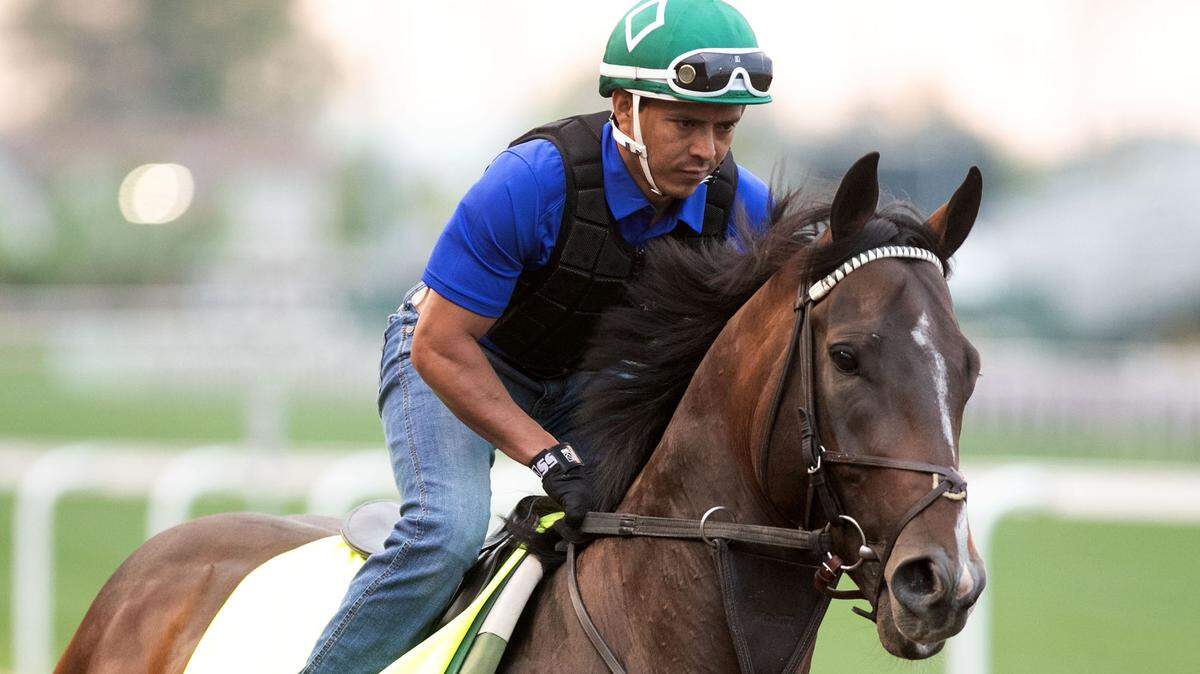 Handicapping the 2025 Kentucky Derby: Best bets, long shots and more on the race