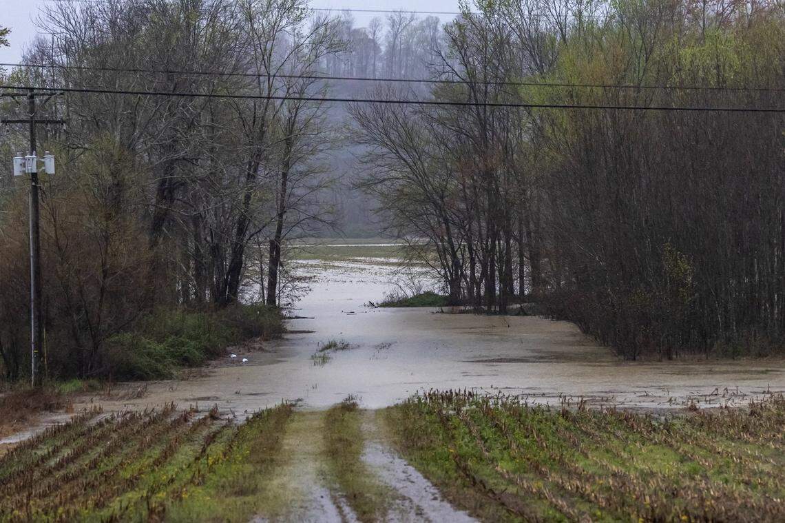 Water floods a field along U.S. Route 127 in Casey County, Ky., on Friday, April 4, 2025.