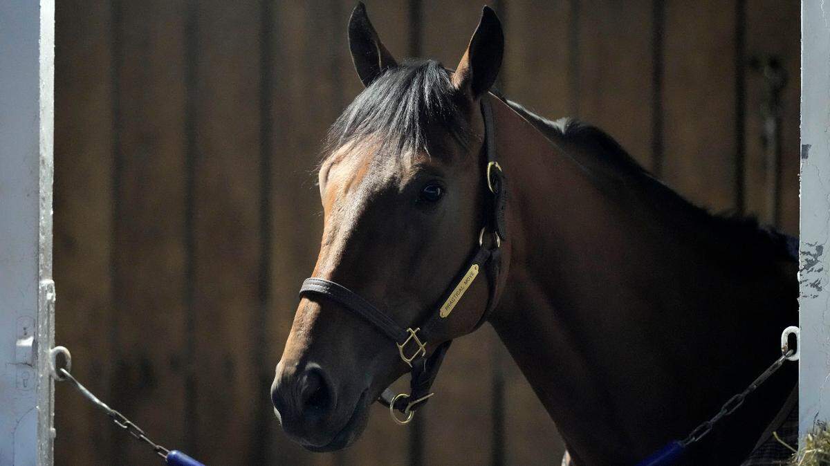 Practical Move scratched from 2023 Kentucky Derby. A replacement gets his shot at glory.