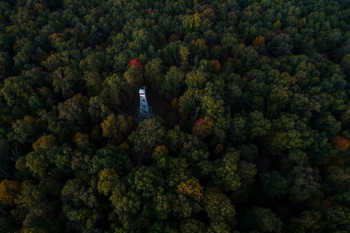 The rising sun illuminates the fire tower at the Bernheim Arboretum and Research Forest in Clermont, Ky., on Wednesday, Oct. 27, 2021. Bernheim encompasses 16,000 acres.