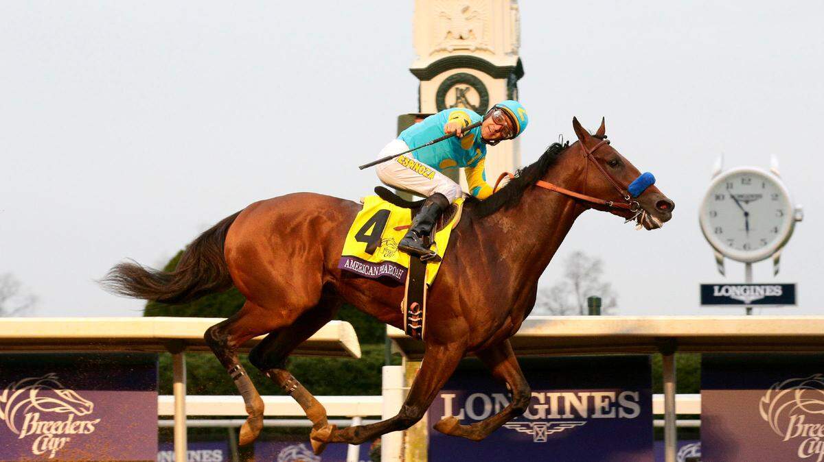 American Pharoah with Victor Espinoza up alone at the finish line of the the Breeders' Cup Classic at the 2015 Breeders' Cup at Keeneland Race Course Saturday October 31, 2015. Photo by Ron Garrison | Staff