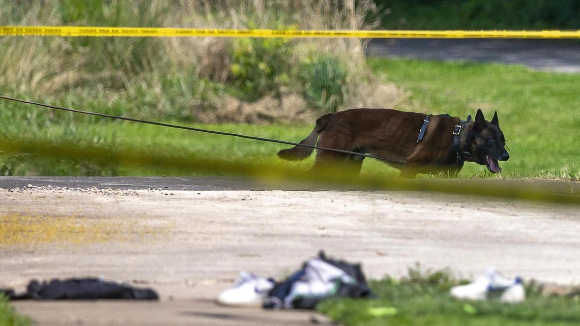 A Lexington police dog and its handler respond to a report of a shooting near Tazewell Drive in Lexington, Ky., on Wednesday, July 5, 2023.