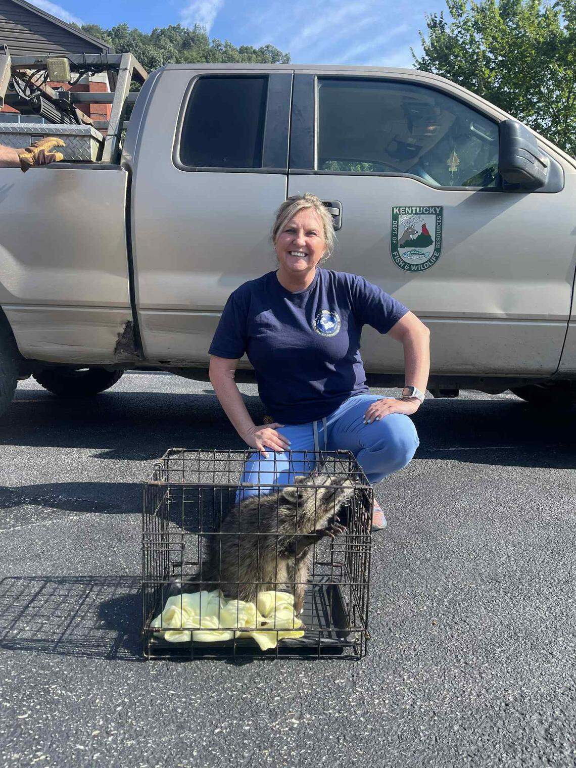 Misty Combs released a raccoon she helped rescue from a dumpster in Letcher County, Ky.