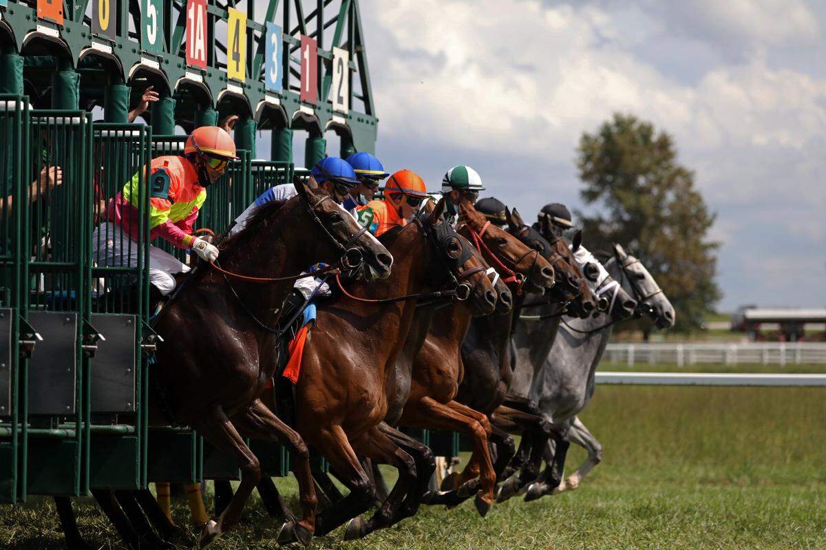 A record total of $37 million in purses is being offered during the seven-day racing meet at Kentucky Downs that starts Thursday.