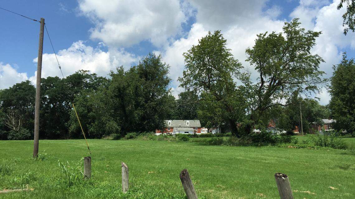 This vacant lot at 1447 Antique Drive, in the Meadowthorpe neighborhood off Leestown Road in northwest Lexington, is the possible location for an assisted-living home.