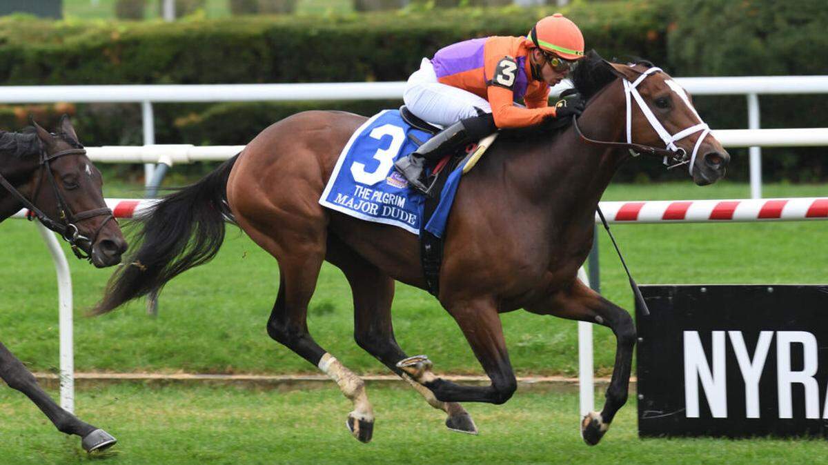 Major Dude is the 5-2 morning line favorite for Saturday’s $700,000, Grade 3 Jeff Ruby Steaks at Turfway Park in Florence.