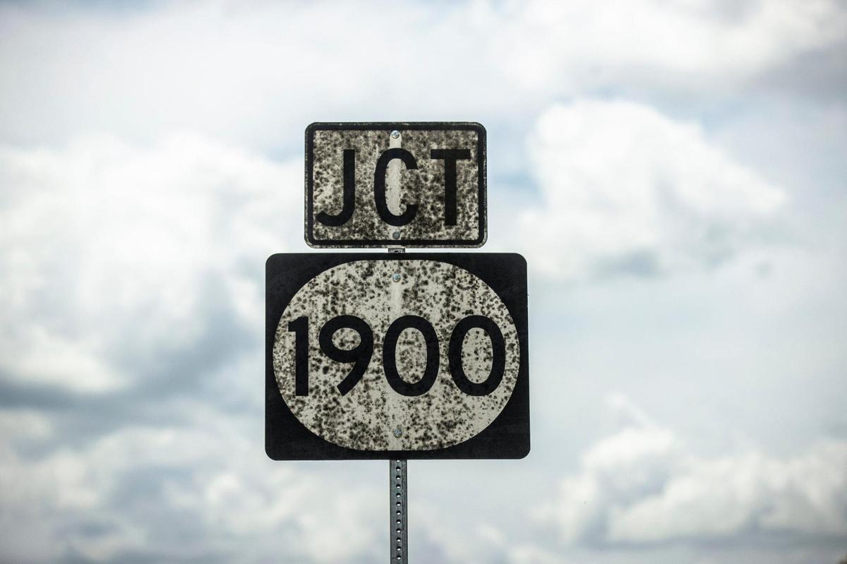 Whiskey fungus grows on a road sign along Owenton Road near the Peaks Mill Road in Franklin County, Ky., on Tuesday, Aug 16, 2022.