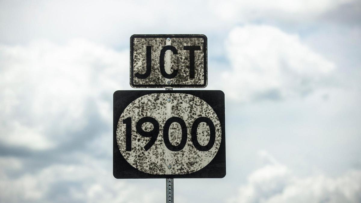 The unwelcome ingredient in Kentucky’s $9 billion bourbon industry? Whiskey fungus