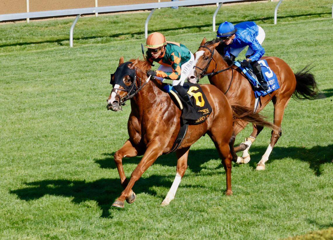 The Keeneland Fall Meet, which runs Friday through Oct. 26, features 22 stakes races worth a track record $9.85 million in purses.