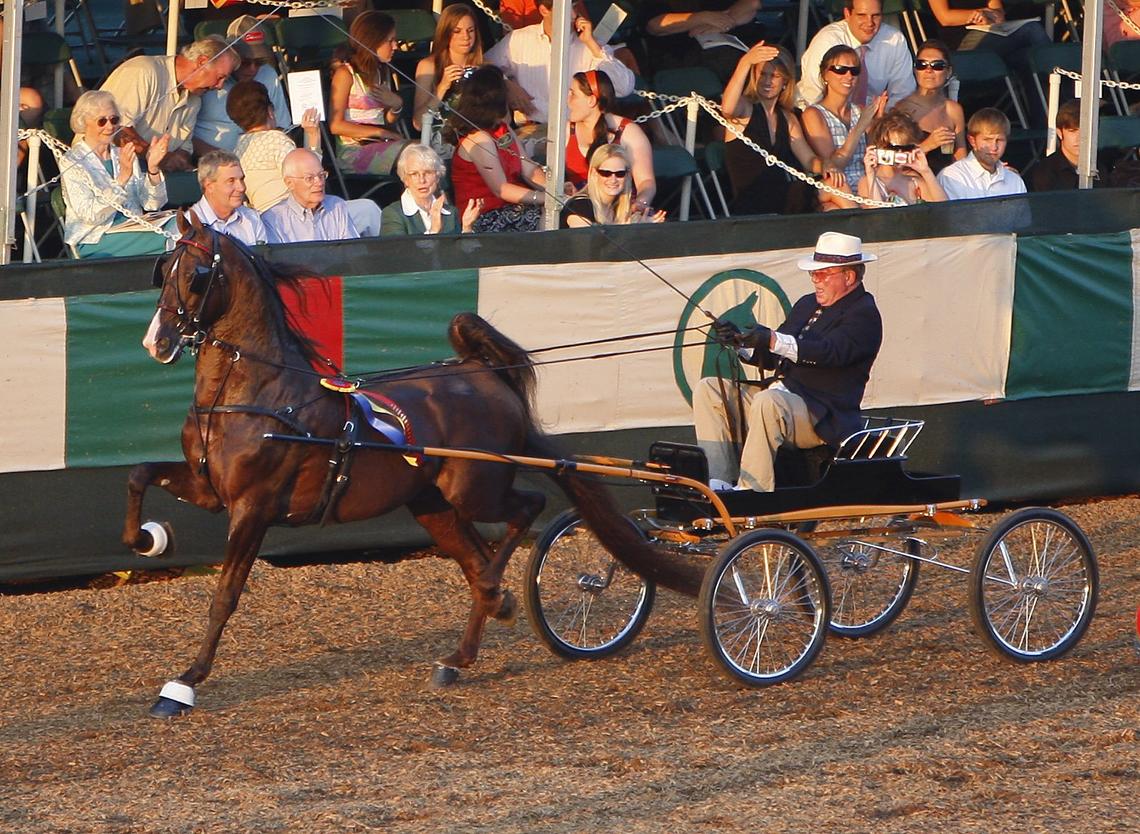 William Shatner won Class 122, The Fine Harness Grand Championship as he drove Call Me Ringo to victory on the final night of the Lexington Junior League Horse Show at the Red Mile in Lexington, Ky., Saturday, June 14, 2007.