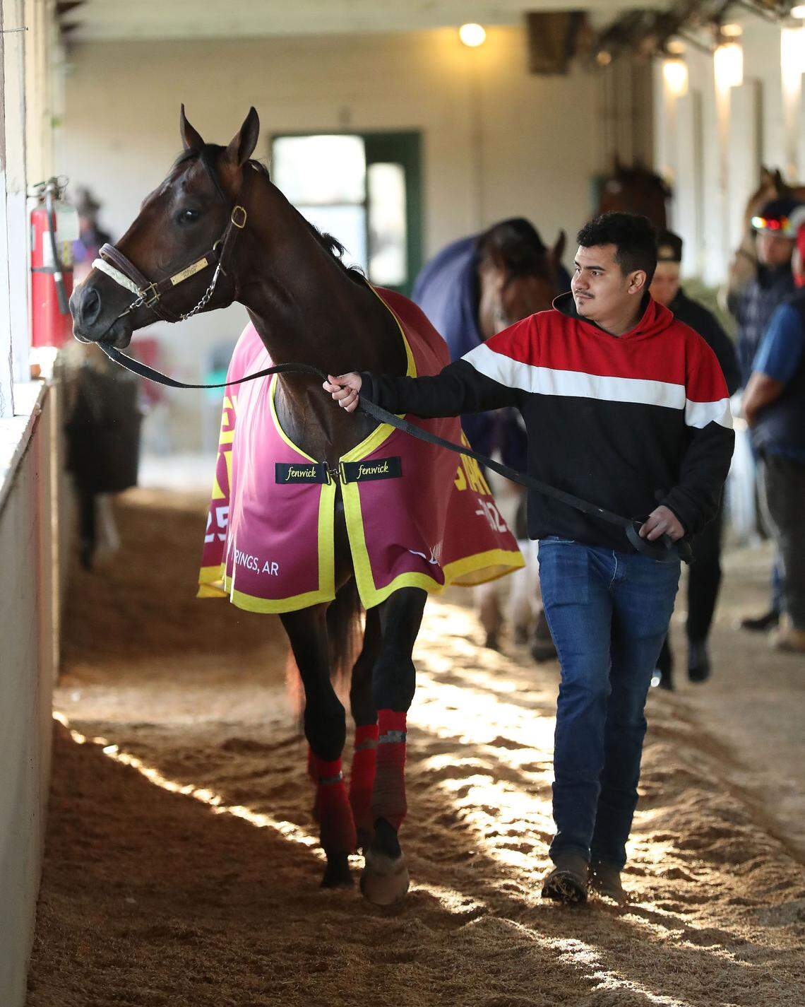 Kentucky Derby hopeful Coal Battle walks the grounds at Churchill Downs in Louisville on Sunday, April 27.