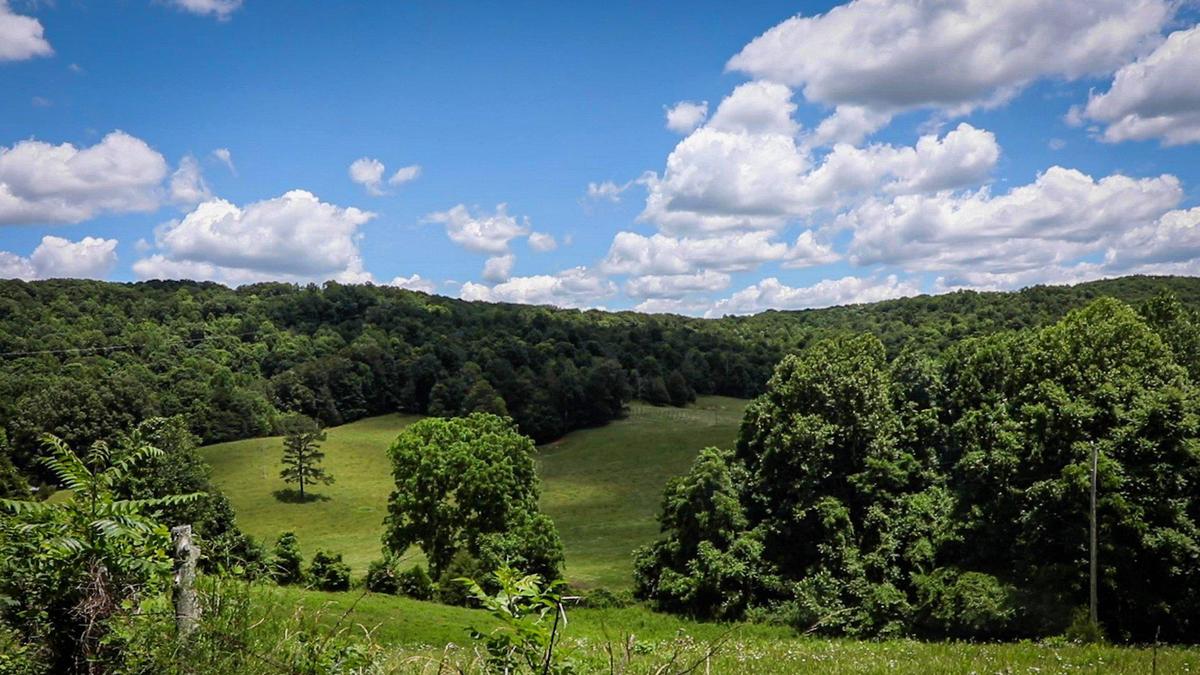 On the edge of Somerset lies Strawberry Lane. Despite its beautiful scenic views, many reports of strangeness have come from this road.