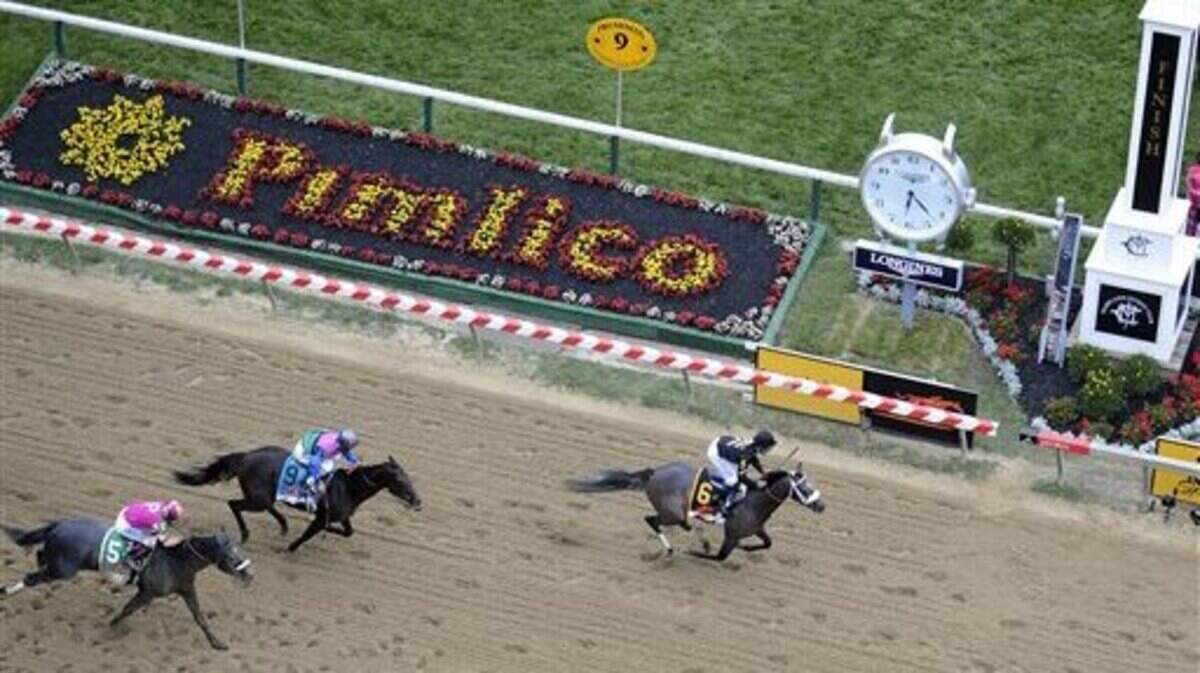 Preakness Horse Racing