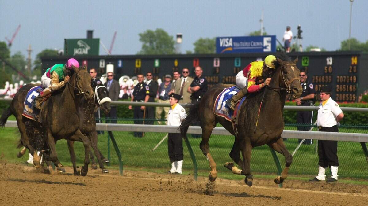 Horses finishing the Kentucky Derby in 2000 at Churchill Downs in Louisville. At this year’s derby, 12 horses suffered injuries that led to euthanasia. (File photo)