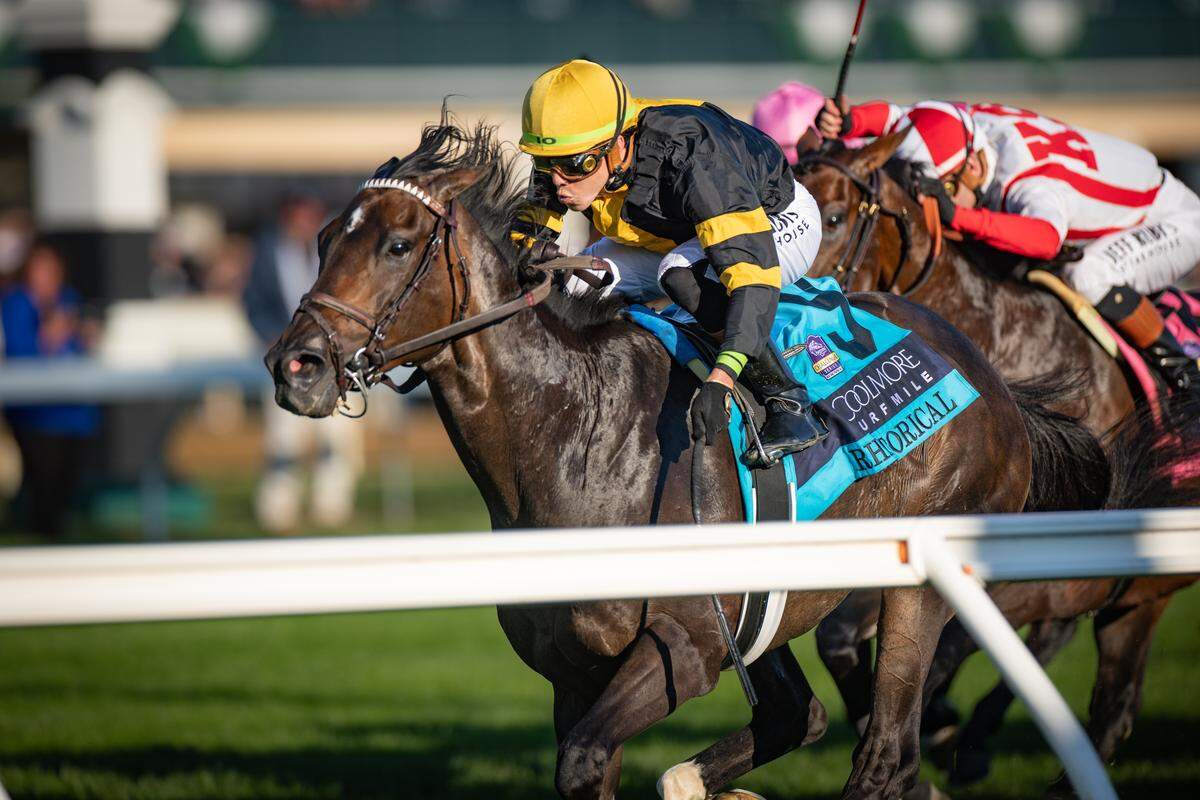 Rhetorical, with Irad Ortiz Jr. up, won the Grade 1, $1.25 Million Coolmore Turf Mile on Oct. 4 at Keeneland Race Course. Rhetorical is trained by Will Walden and owned by Gary Barber, Cheyenne Stable and Wachtel Stable.