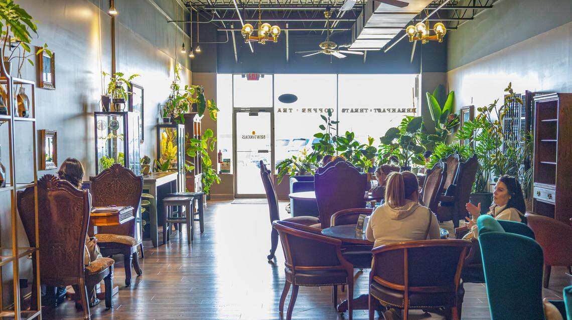 Patrons enjoy the warming sunrays and ample seating at Brewtanicals Coffee House & Plant Lounge on March 25, 2026, in Richmond, Ky.