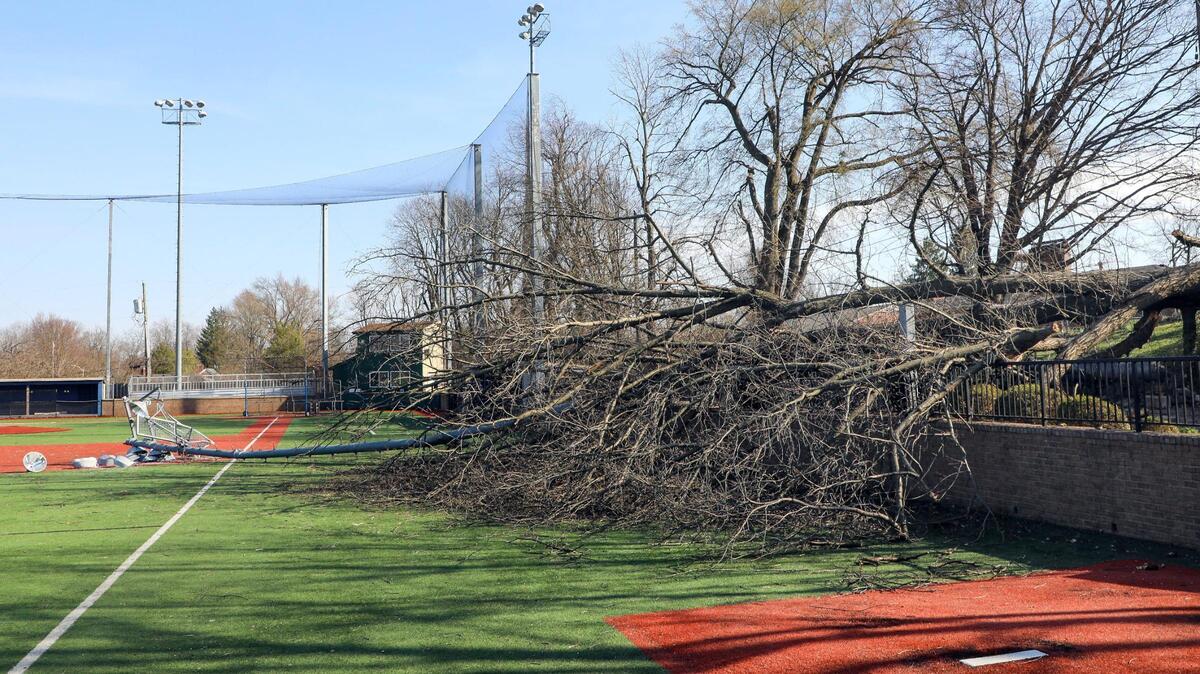 A tree lies on the Lexington Catholic baseball field in Lexington, Ky., bringing down with it a light pole, Monday, March 6, 2023. Three days earlier a strong wind storm knocked out power to much of Lexington, Ky.