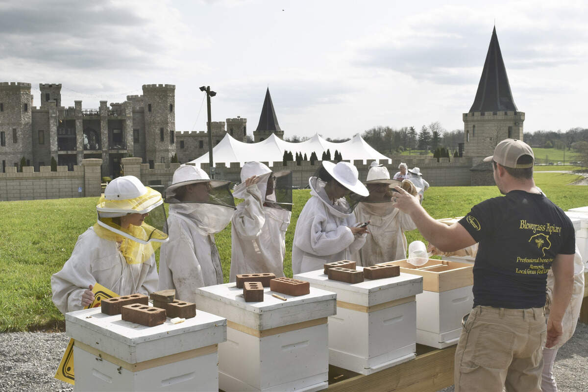 From Left to Right: Megan Slusarewicz, Reka Gal, Andrew Du, Jocelyn Chen, and Olivia Tussey, members of  Paul Laurence Dunbar High School's Community Problem Solving Team, work with Curt White of Blewegrass Apiary, which is  committed to saving honeybees from extermination.