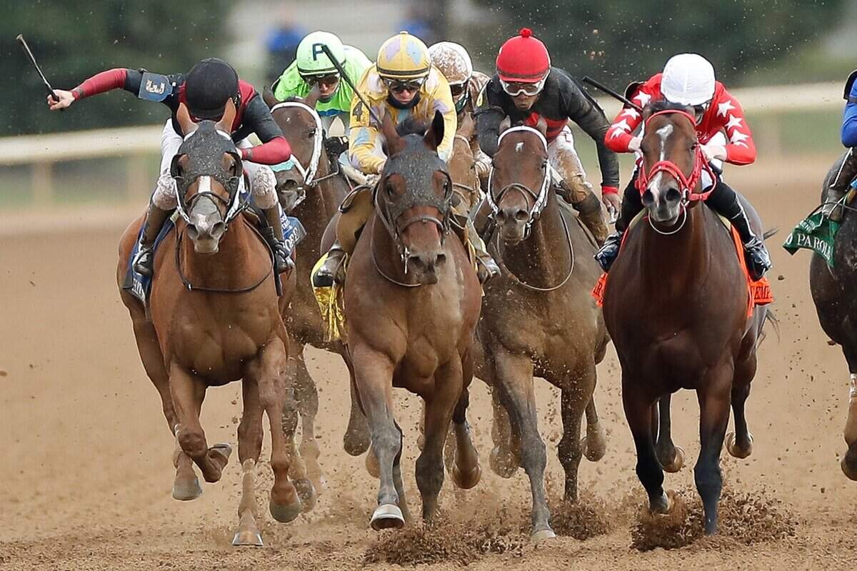 Diamond Oops (4) and jockey Florent Geroux won the $200,000, Grade 2 Stoll Keenon Ogden Phoenix Stakes at Keeneland during Friday’s opening day of racing for the Fall Meet.