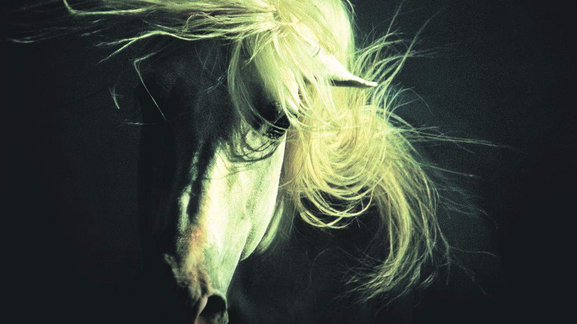 Horse of the Waves by Robert Vavra