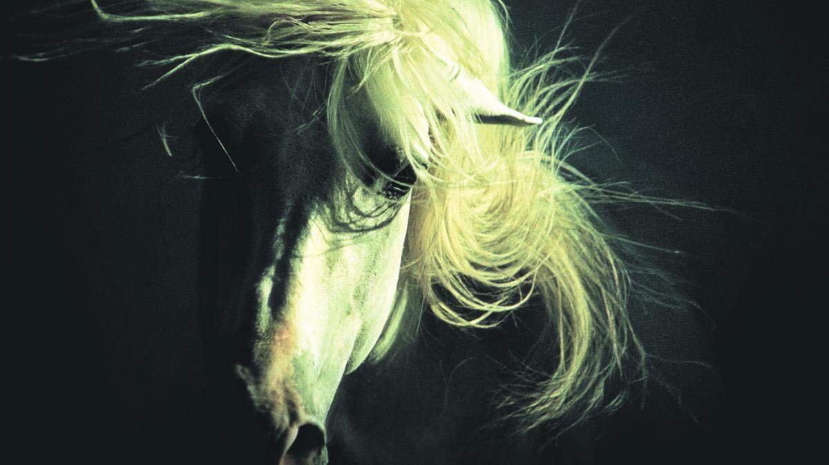 Horse of the Waves by Robert Vavra