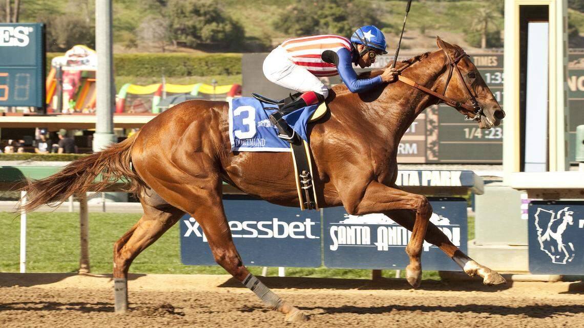 Run to the Roses Horse Racing