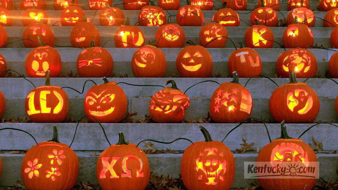 More than 200 jack-o'-lanterns were on display Monday on the front steps of Old Morrison at Transylvania University as part of Pumpkin Mania. From the Transylvania University Web site: "Last year, 250 jack-o'-lanterns, carved by faculty, staff, students and members of the community, lit up the steps of Old Morrison. This year, Transylvania hopes to have even more pumpkins." The jack-o'-lanterns were lit Friday, and they're to remain on display through Halloween night. As of Monday morning, the total was about the same as last year, but some jack-o'-lanterns were being added.  Photo by Charles Bertram | Staff