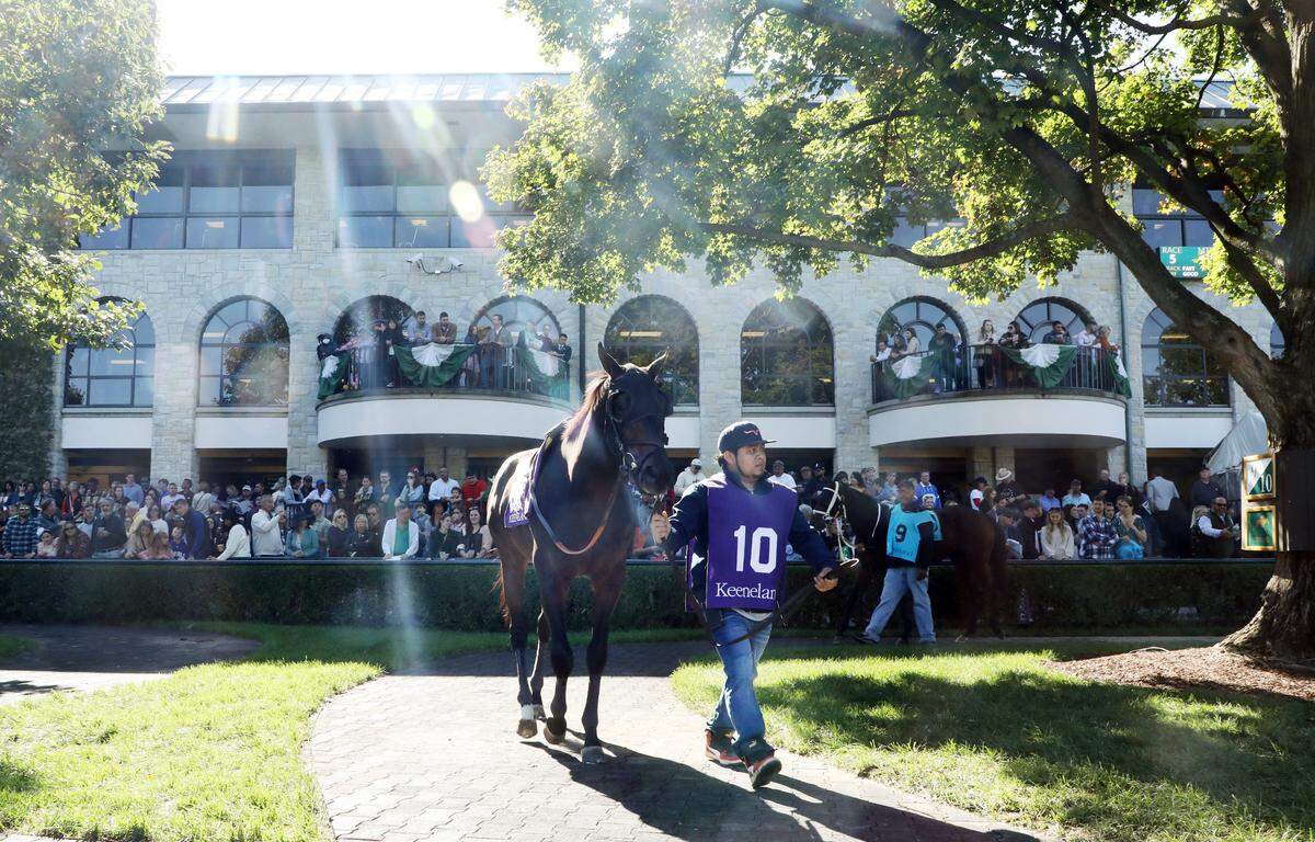 Fans took in the action in the paddock at Keeneland during last year’s Fall Meet. This year’s Fall Meet will be the track’s richest ever.