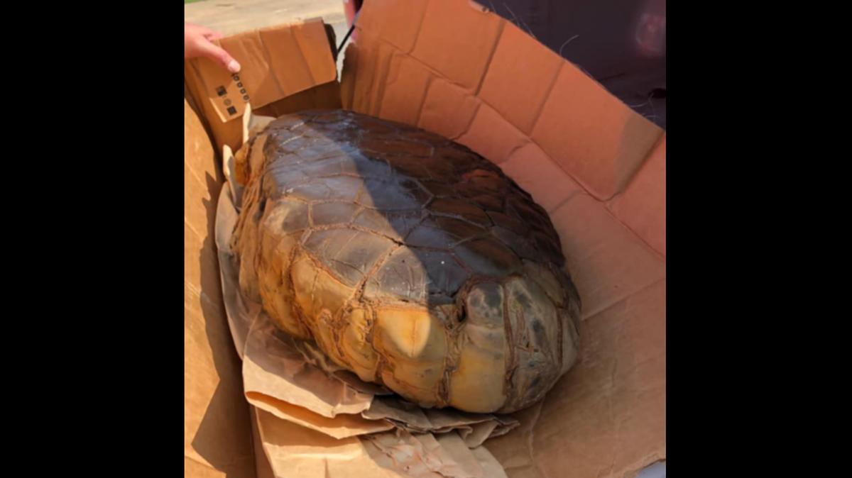 What could this be? It was found in Arkansas and photos posted on Facebook in hopes of finding an answer.