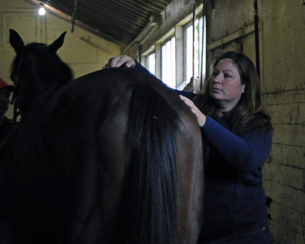 Dr. Sara Langsam, chair of the American Association of Equine Practitioners’ Racing Committee and a lifelong racing fan, said “it’s pivotal” to stop horses breaking down or the fans will continue to leave.