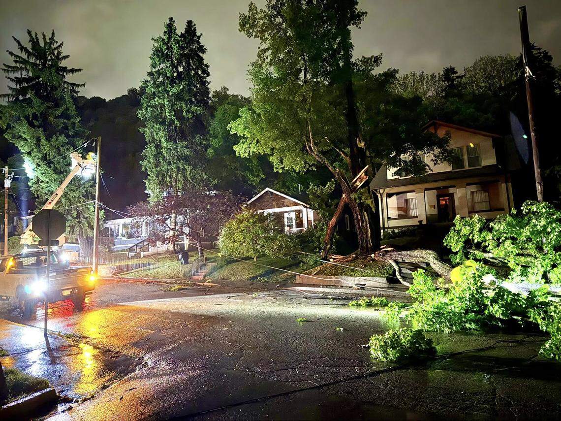 A severe storm overnight Monday, April 27, to Tuesday, April 28, caused a large tree to fall on Ewing Street in Franklin County, Ky.