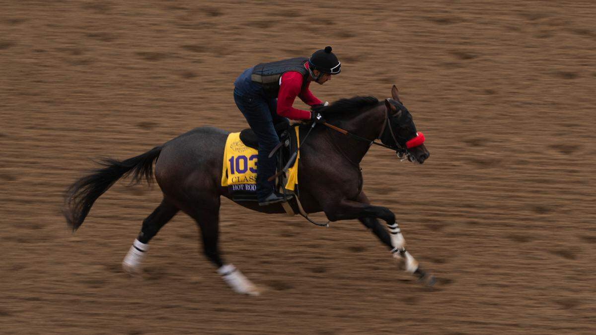 Hot Rod Charlie took to the track at Del Mar on Thursday ahead of Saturday’s Breeders’ Cup Classic. The 3-year-old finished second in last year’s Breeders’ Cup Juvenile, third in this year’s Kentucky Derby and second in the Belmont Stakes. He enters Saturday’s race off a victory in the Grade 1 Pennsylvania Derby on Sept. 25.