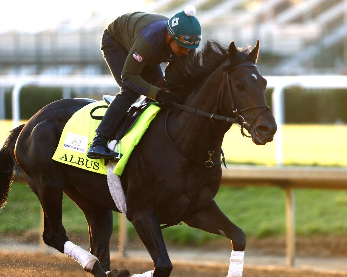 Albus, trained by Riley Mott, has been assigned post position No. 2 for the 2026 Kentucky Derby. Albus has won two of his four career races.