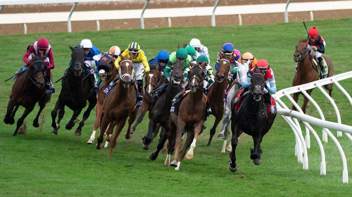 Rebel’s Romance, second from left, came from the outside on the fourth turn to win the Breeders’ Cup Turf at the Breeders’ Cup World Championships at Keeneland Race Course in Lexington, KY on Saturday, November 5, 2022.