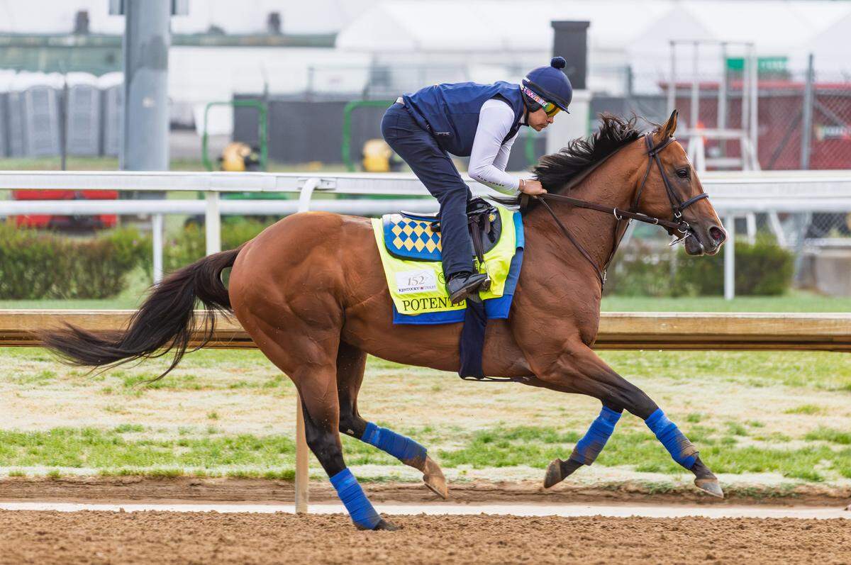 Potente will run in the Kentucky Derby after finishing in second place to So Happy in the Grade 1 Santa Anita Derby on April 4 in California.