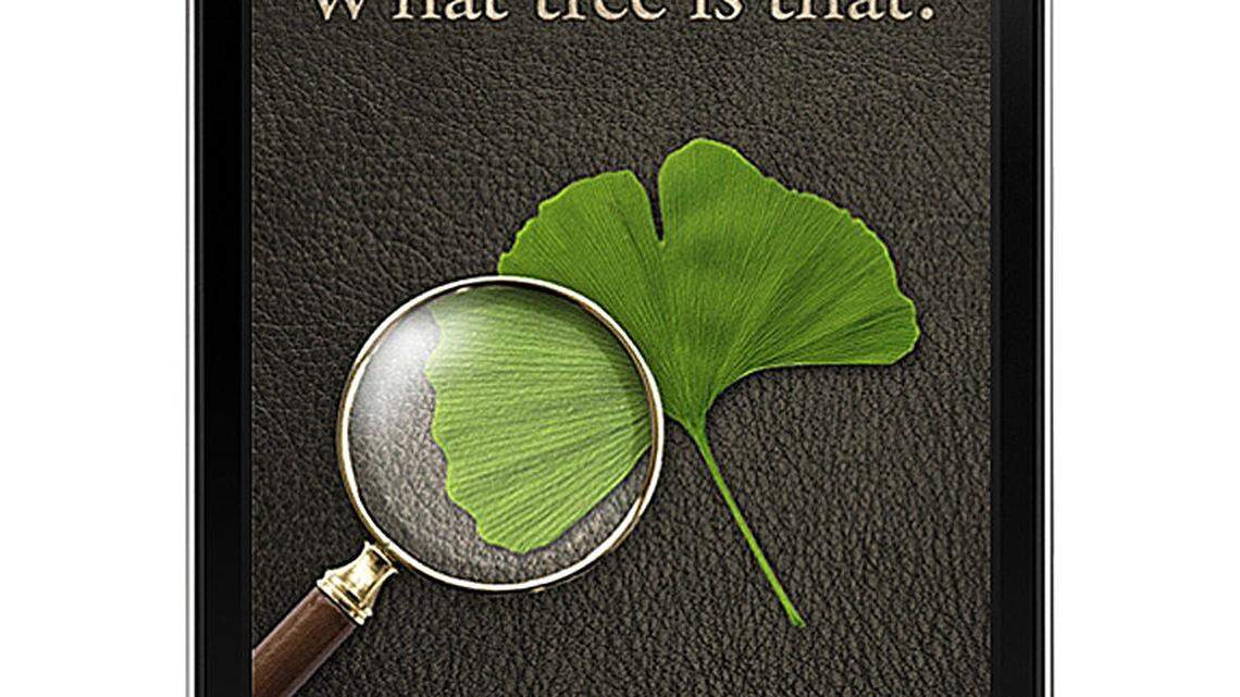 LIFE HOME-ENV-DIGGIN-IN 3 NN