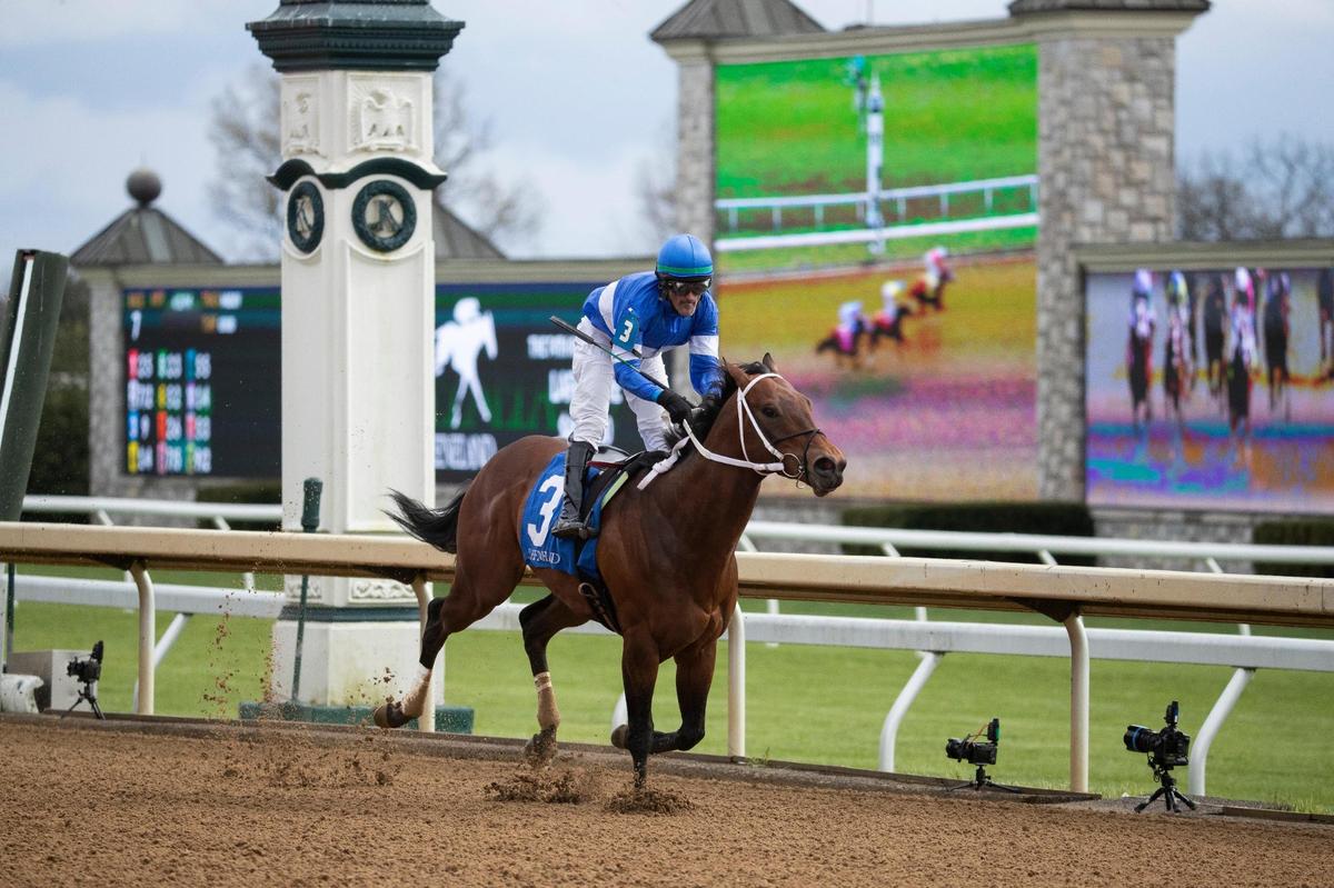 Old Homestead, with Thomas Pompell up, wins the Lafayette Stakes with ease on Friday’s opening day of the Spring Meet.