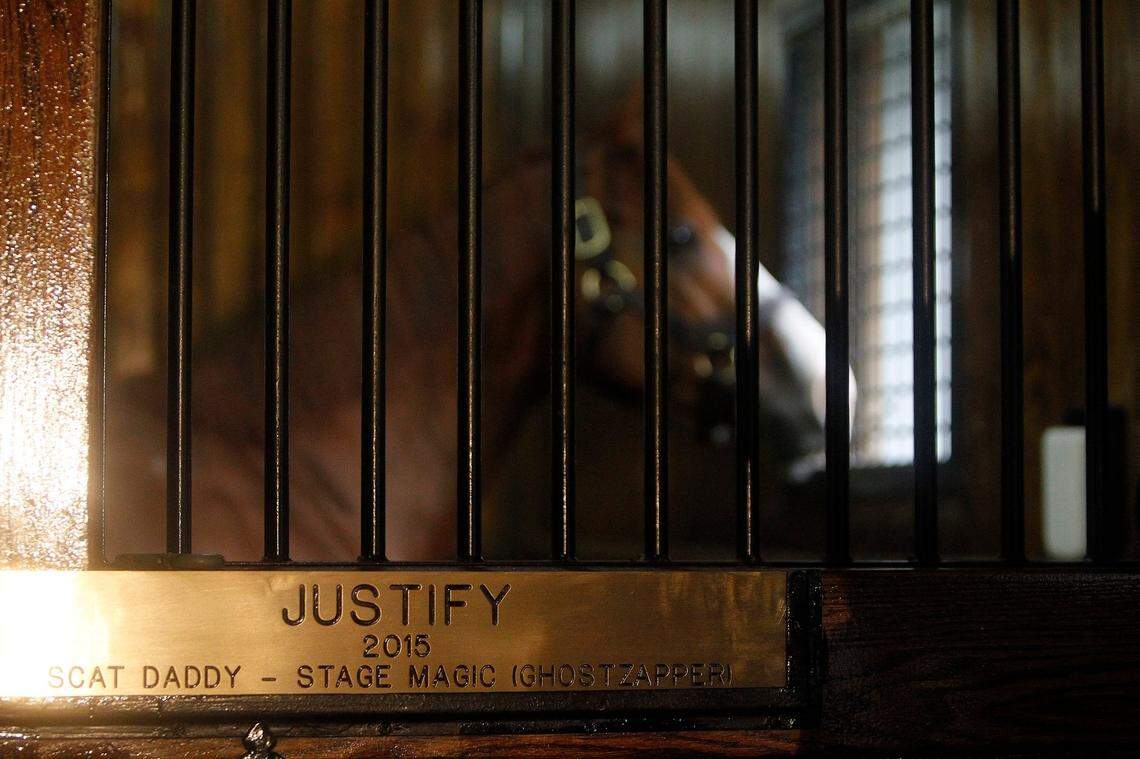 Triple Crown winner Justify in his stall at Ashford Stud in Versailles.