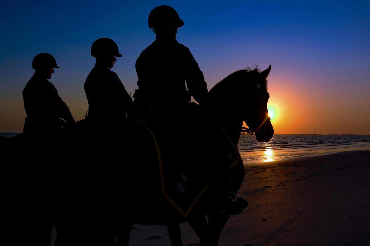 Deputy Maverick, a former racehorse born in Kentucky, has found a second career as a police horse in Fort Myers, Florida.
