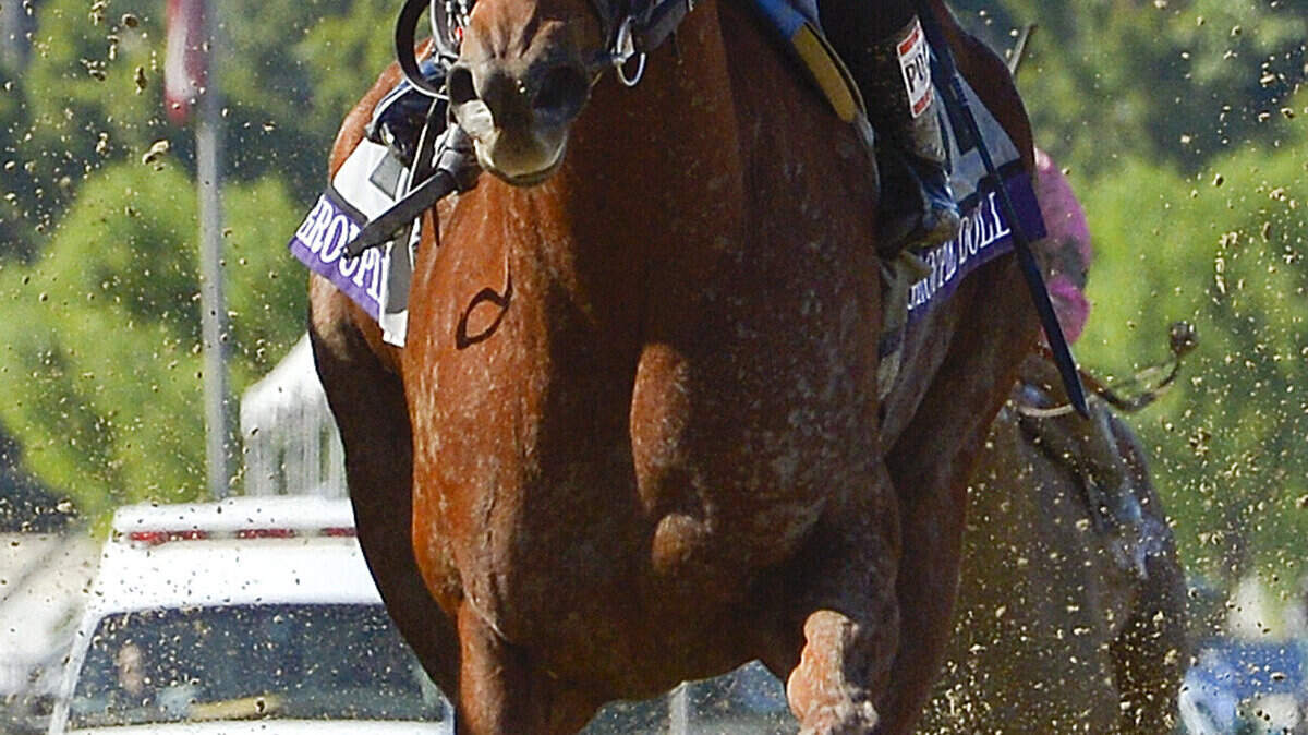 Breeders Cup Filly  Mare Sprint Horse Racing