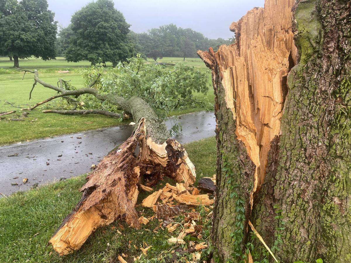 A storm in Lexington caused tree damage at Picadome golf course on Friday, June 17, 2022.