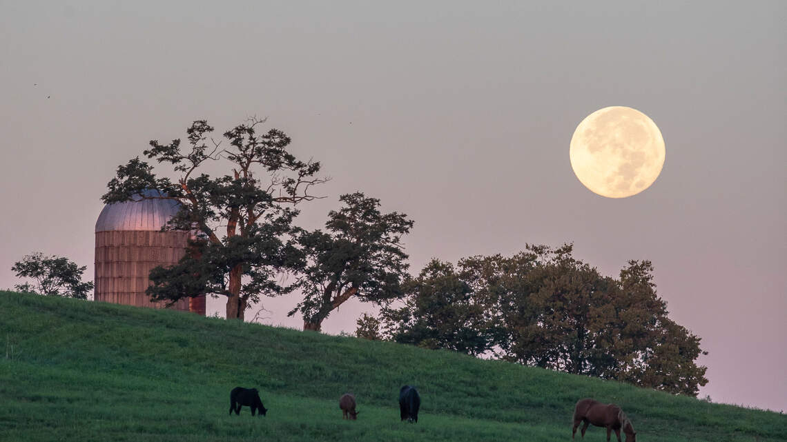 Kentucky stargazers can see last supermoon of the year soon. Here’s when to look up