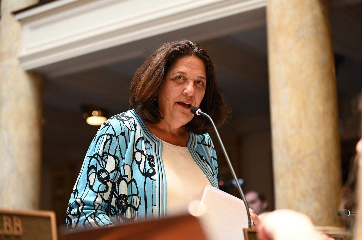 Sen. Karen Berg, D-Louisville, speaks during the 2023 General Assembly in Frankfort.