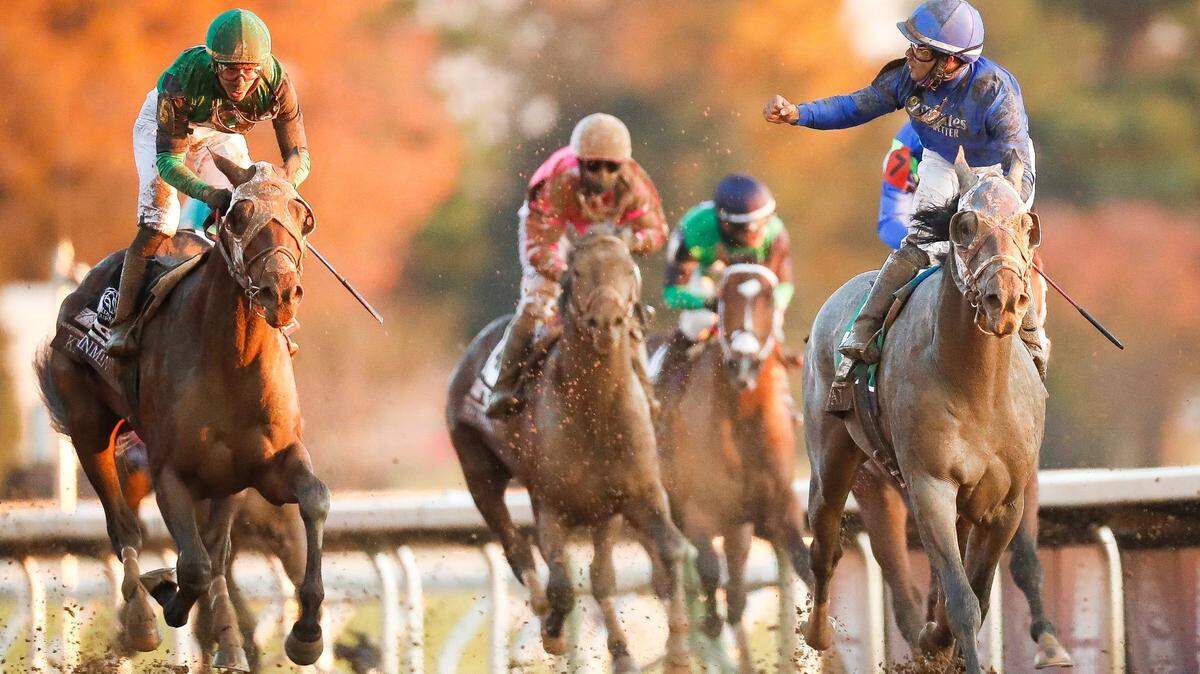 Essential Quality, right, ridden by Luis Saez, made it to the finish line first in the $2 million Breeders’ Cup Juvenile at Keeneland last November. Long shot Hot Rod Charlie finished second, and Keepmeinmind came in third. Both Essential Quality and Keepmeinmind are in Saturday’s Toyota Blue Grass Stakes at Keeneland.