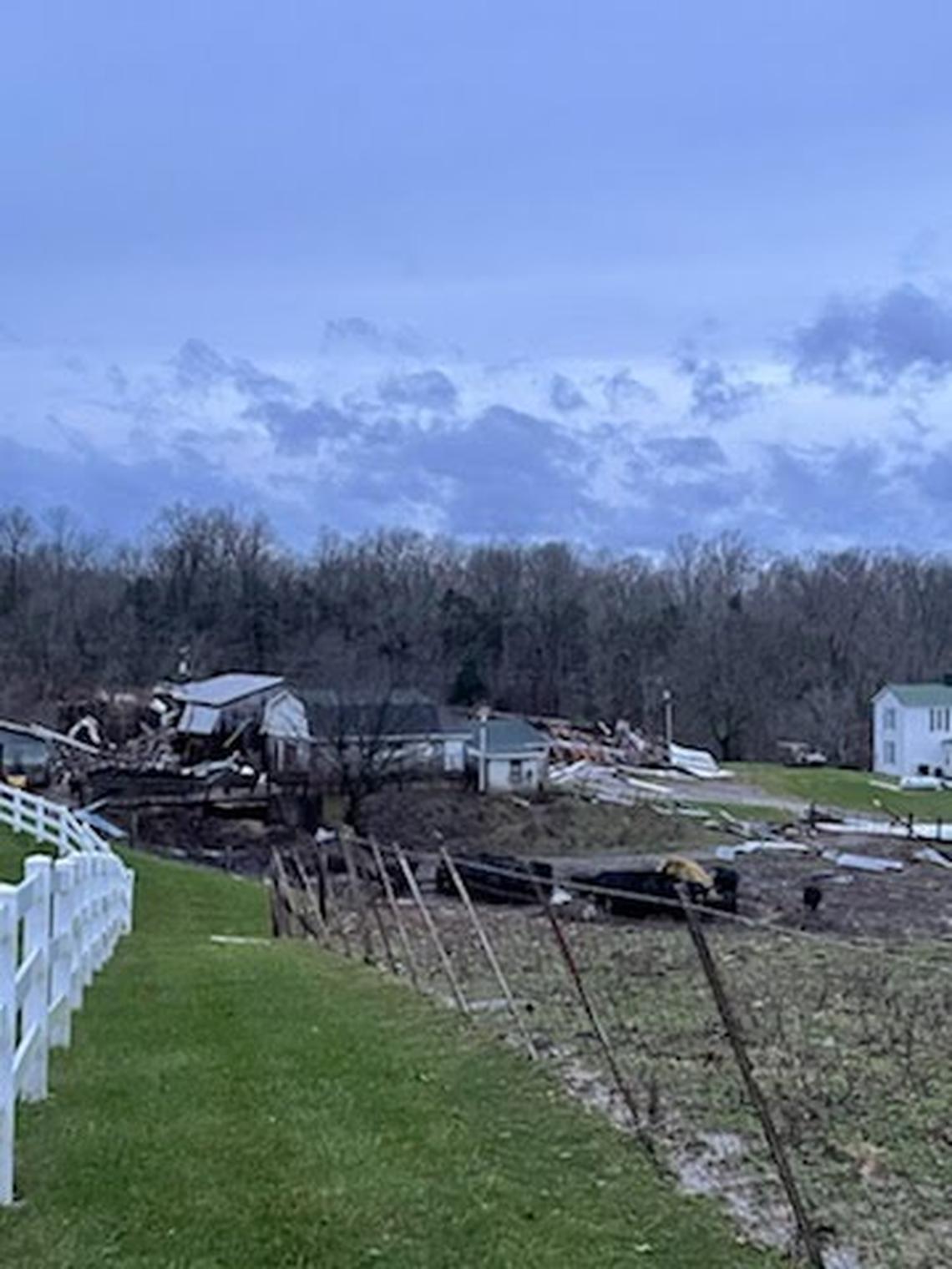 The Jones Family Farm in Spencer County after the Dec. 10-11 tornado destroyed the silos and damaged other buildings. Most of their cattle survived, including those pictured here. Seven head were killed when they were buried by rubble.