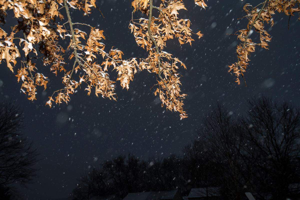 Snow falls in downtown Lexington, Ky., Wednesday, January 27, 2021. The National Weather Service has predicted a low of 20 degrees Wednesday night and a high of 32 Thursday.